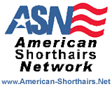American Shorthair Network